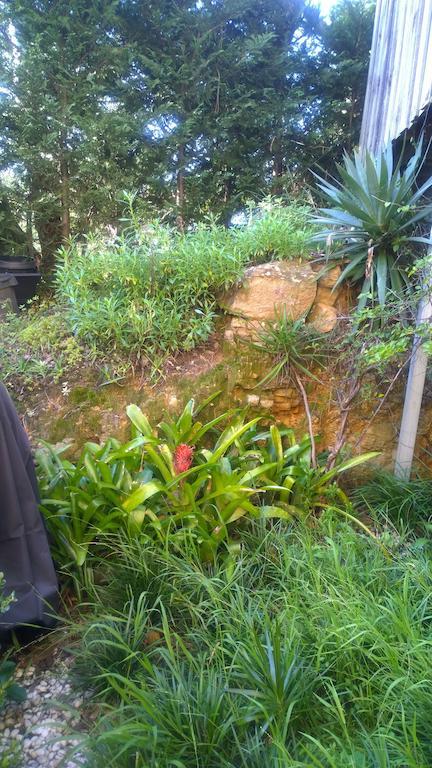 Linley House Bed & Breakfast Sydney Luaran gambar
